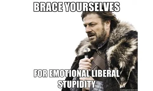 liberal-stupid.webp