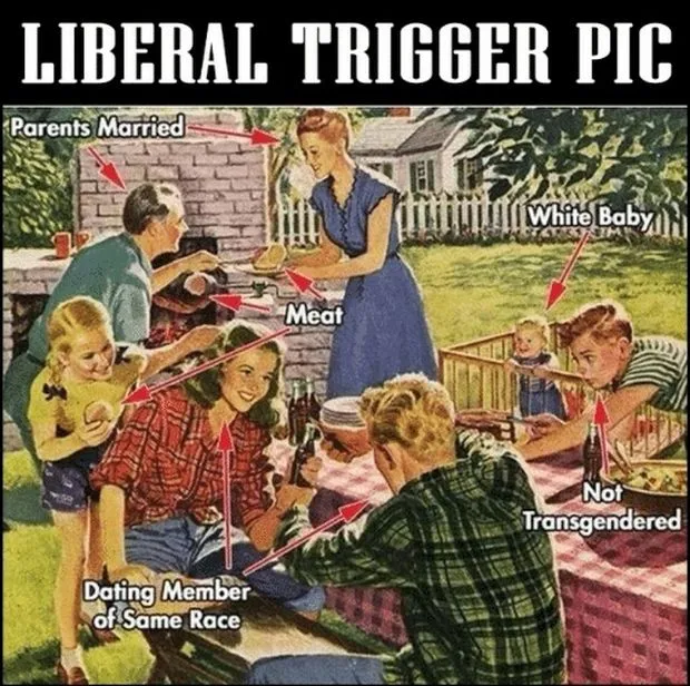 liberal-trigger-picture.webp