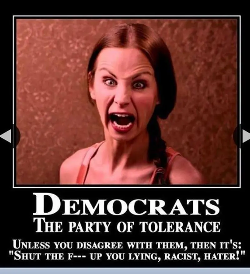 Liberal_playbook_2_878x800.webp