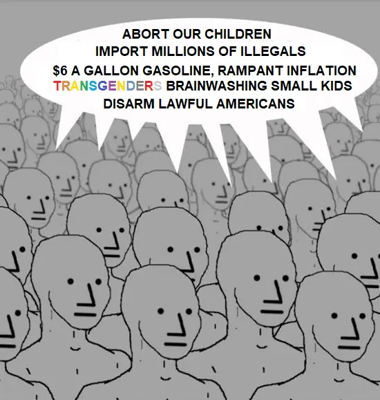 LIBERALISM IS A MENTAL ILLNESS.webp