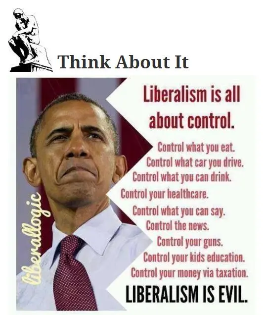 Liberalism is evil.webp