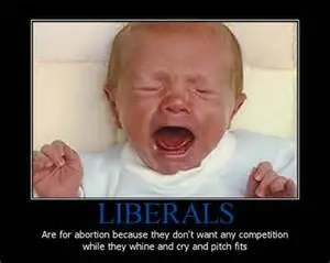 Liberals abortion.webp