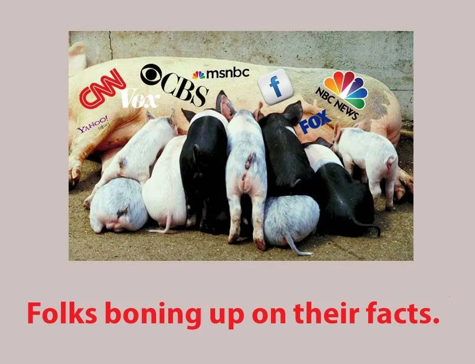 liberals and facts.webp