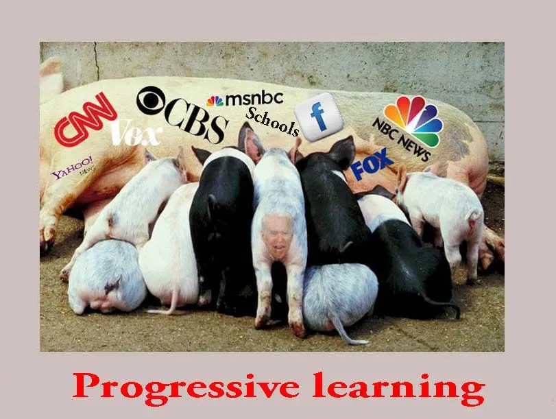 liberals and facts1a.webp