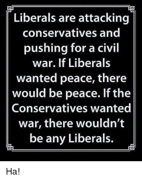 liberals-are-attacking-conservatives-and-pushing-for-a-civil-war-37717463.webp