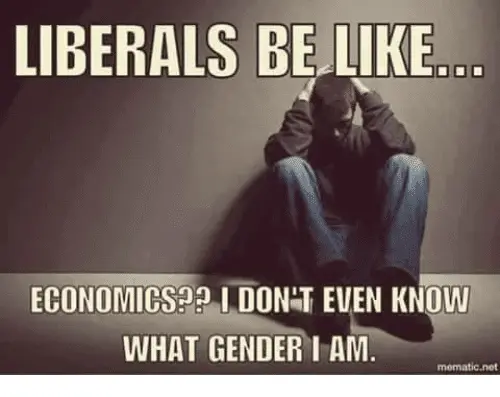 liberals-be-like-economics-i-dont-even-know-what-gender-5530085.webp