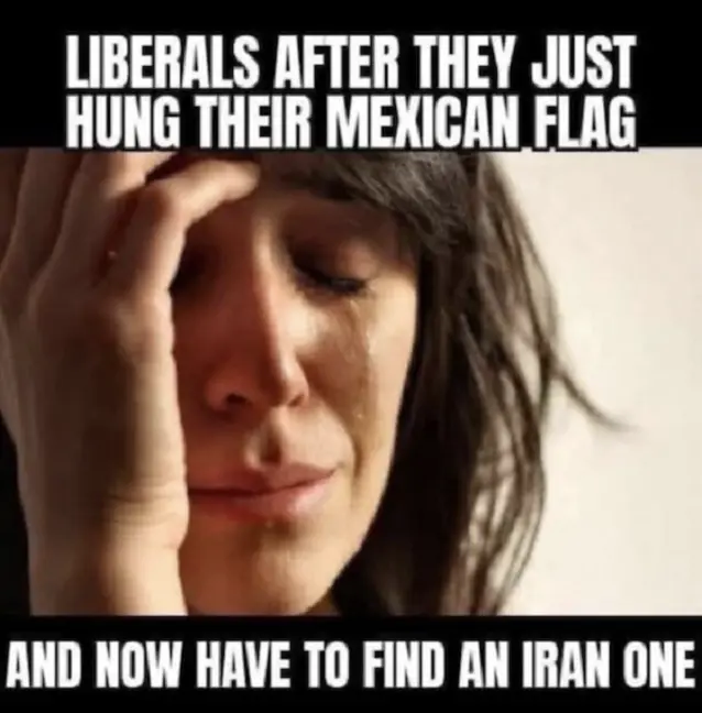 LIBERALS CRYING.webp