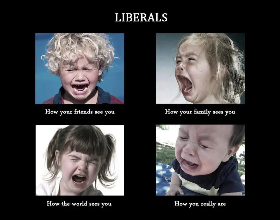 liberals.webp