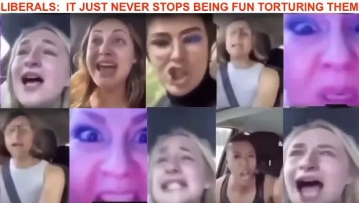 Liberals.webp