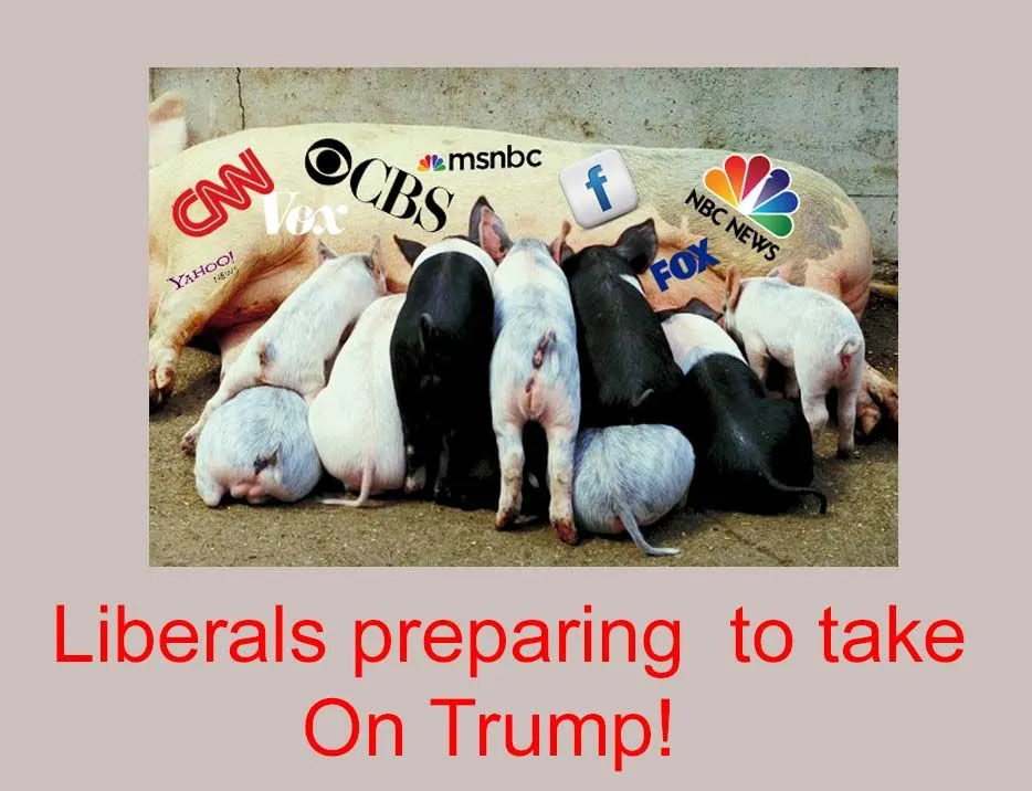liberals.webp