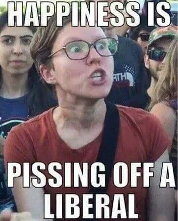 liberalsaremoronslolwjefhkdjfhewkj.jpg