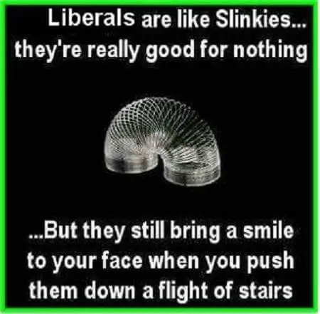 liberalslinkies.webp