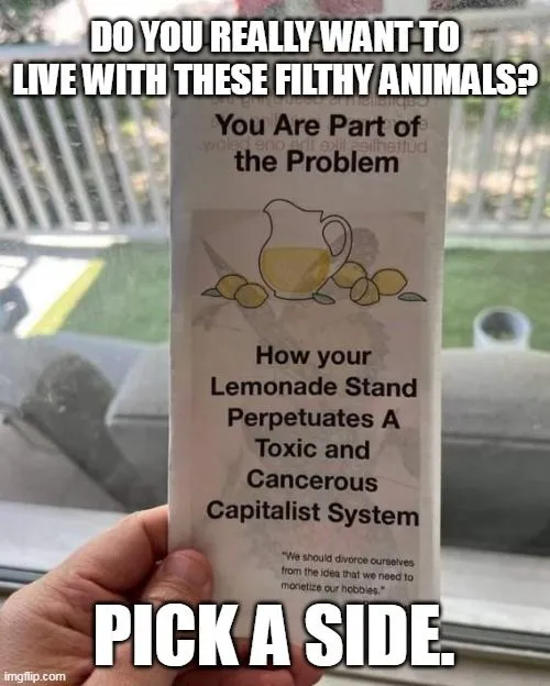 libs pick a side 993.webp