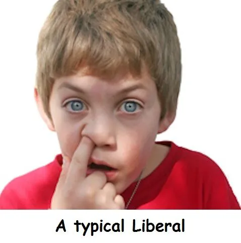 libtard.webp