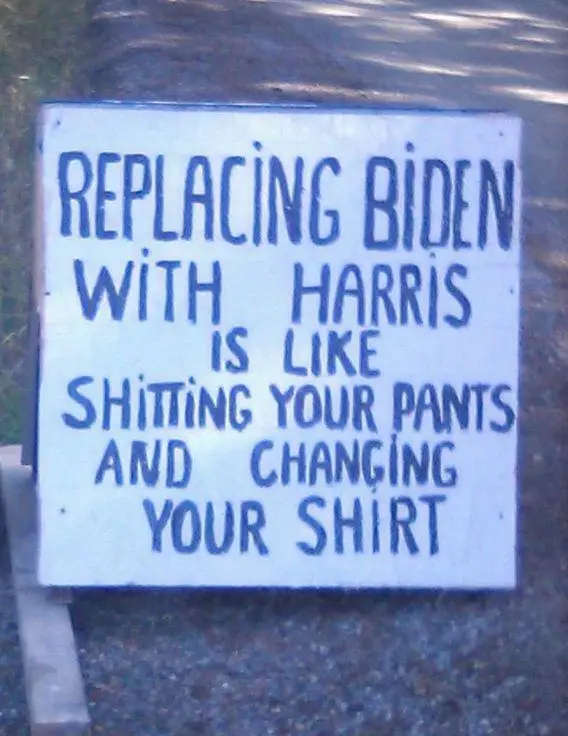 like shitting your pants.webp