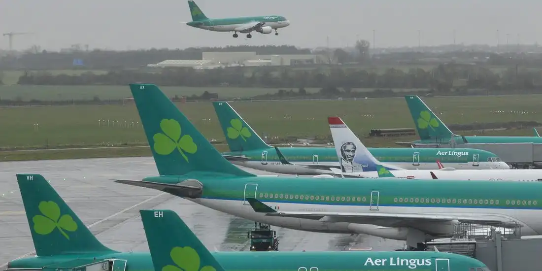 lingus17.webp