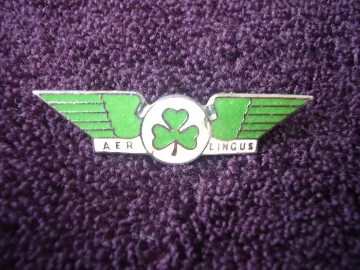 lingus29.webp
