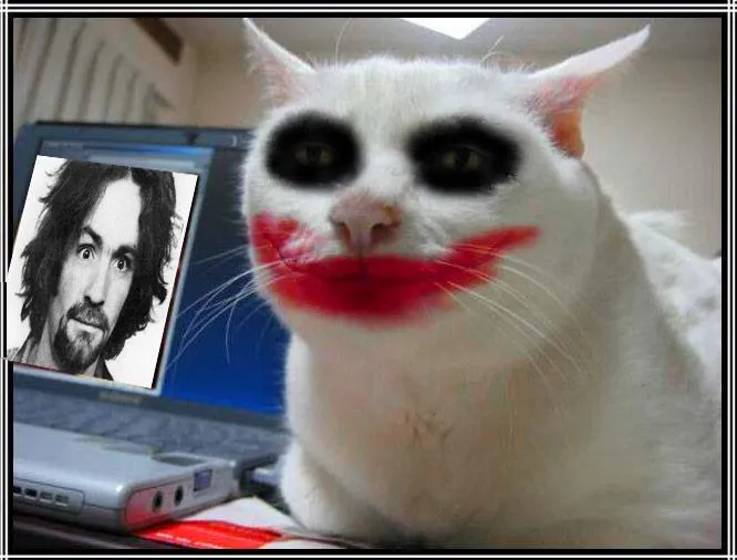 lip cat.webp