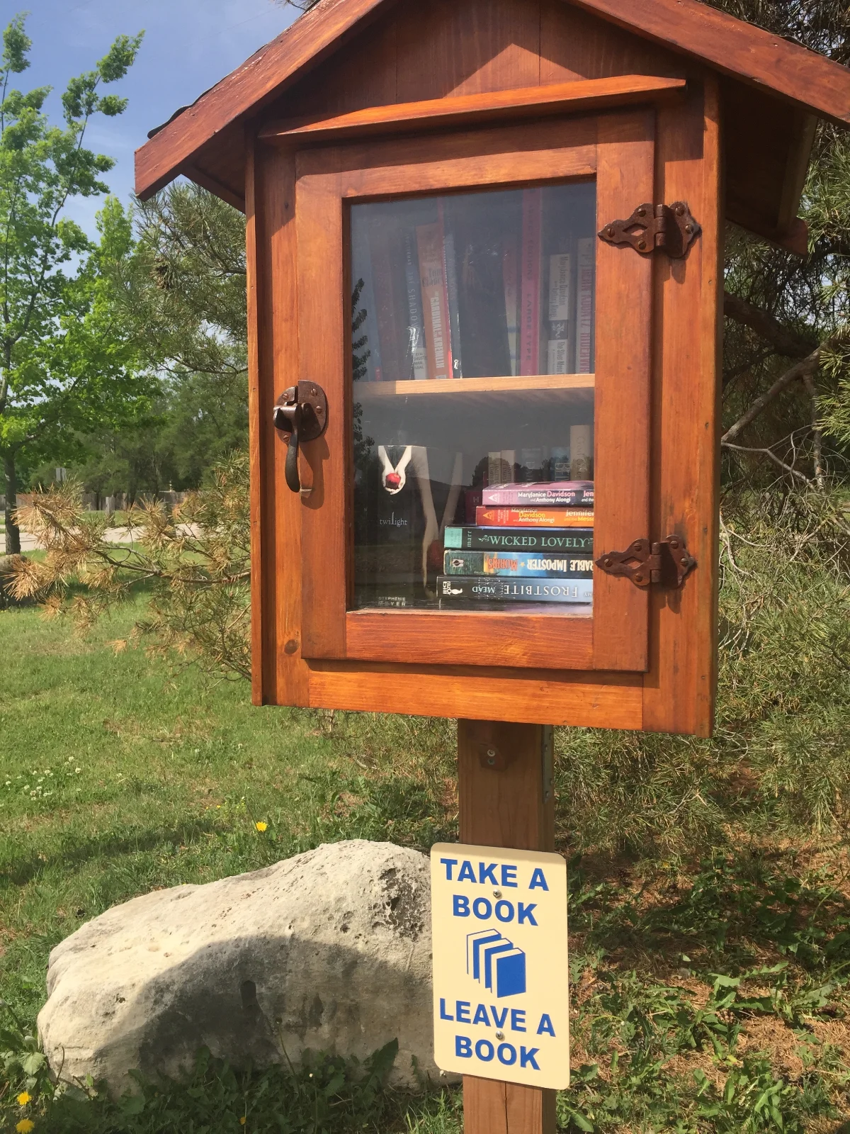 LittleLibrary.webp