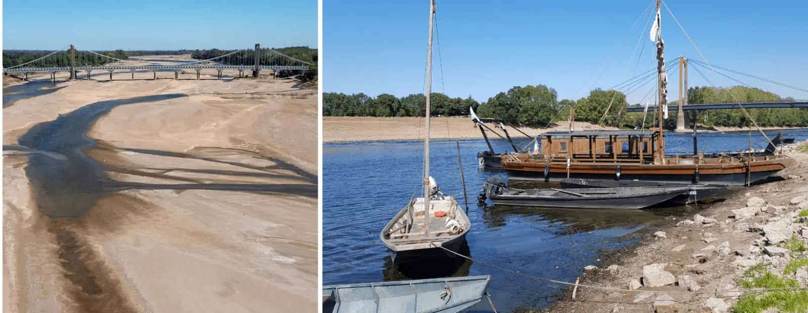 loire lie.webp