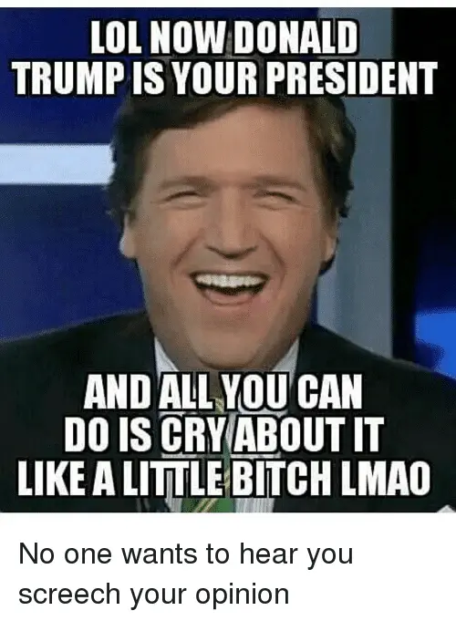 lol-now-donald-trump-is-your-president-and-all-you-12648034.webp