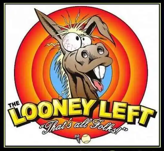 looney left 3121231323.webp