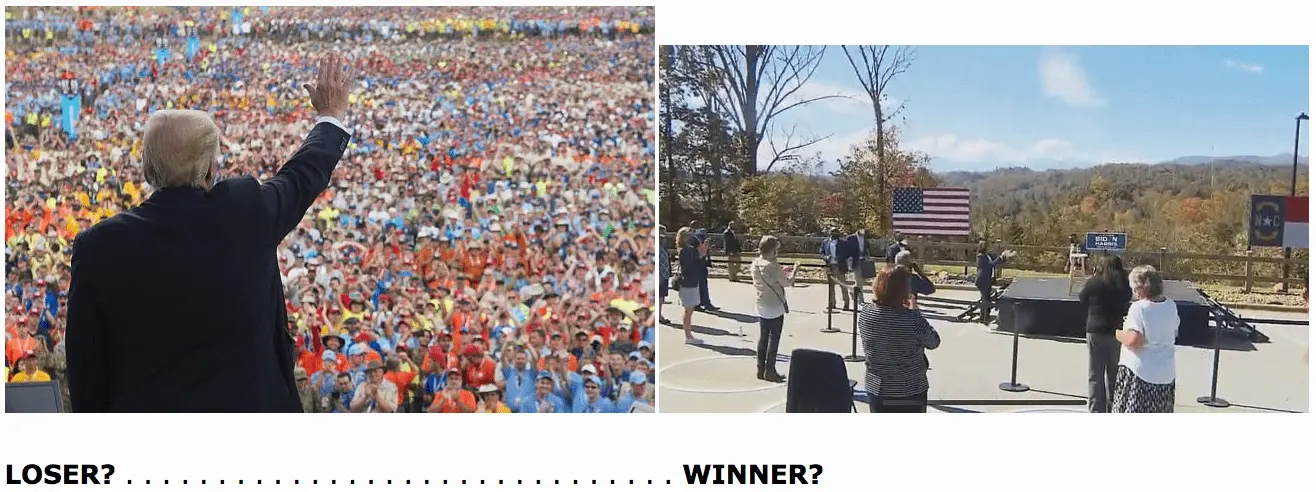 Loser Winner.webp