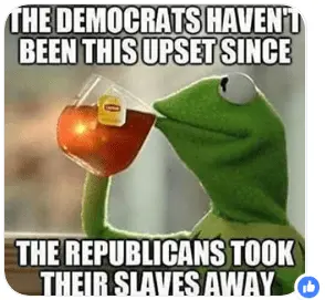 mad dems slaves.webp