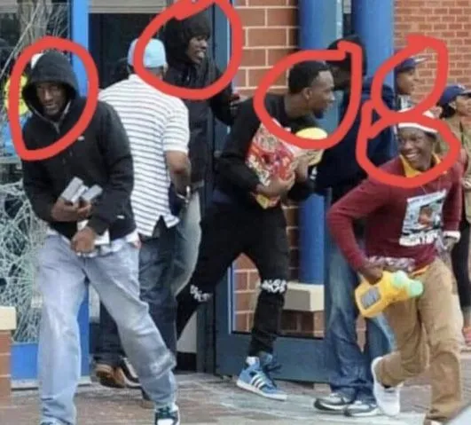 mad looters.webp