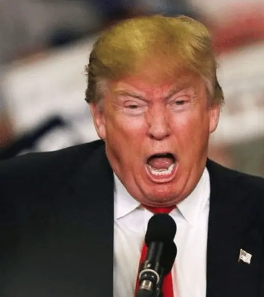mad-trump.webp