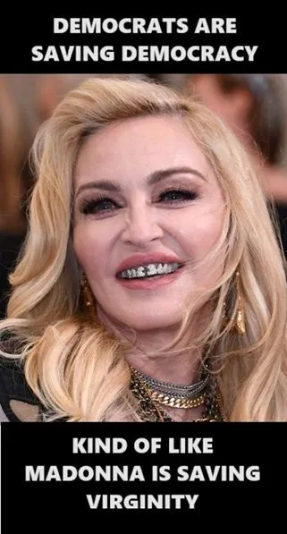 madonnaisfuglysavingdemocracy2.webp