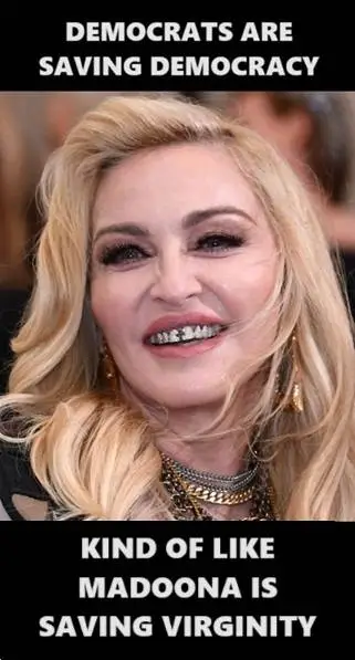 madonnaisfuglysavingdemocracy3.webp