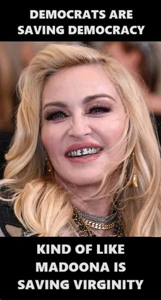 madonnaisfuglysavingdemocracy3.webp
