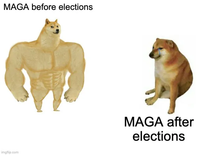 MAGA before elections.webp
