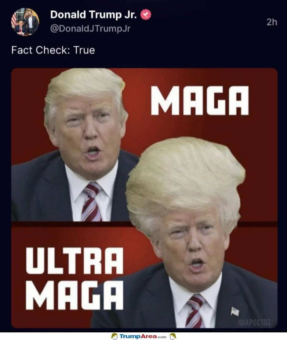 maga ultra maga trump.webp