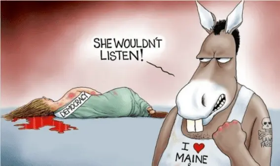 maine dem.webp