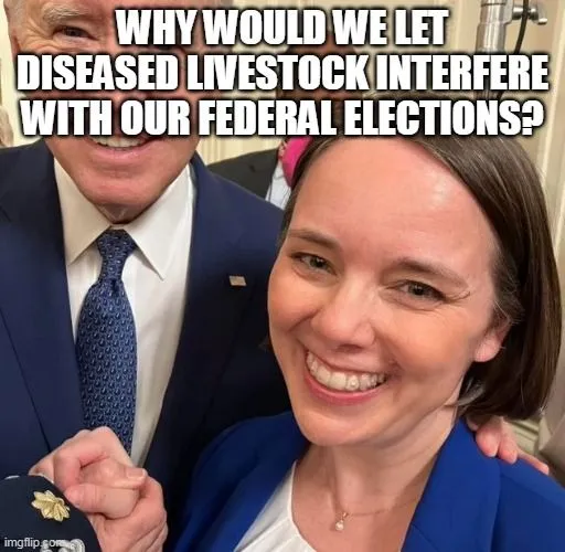 maine election interference.webp