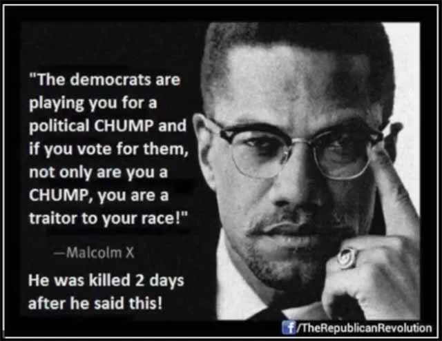 MalcolmXandPoliticalChumpsSmall.webp
