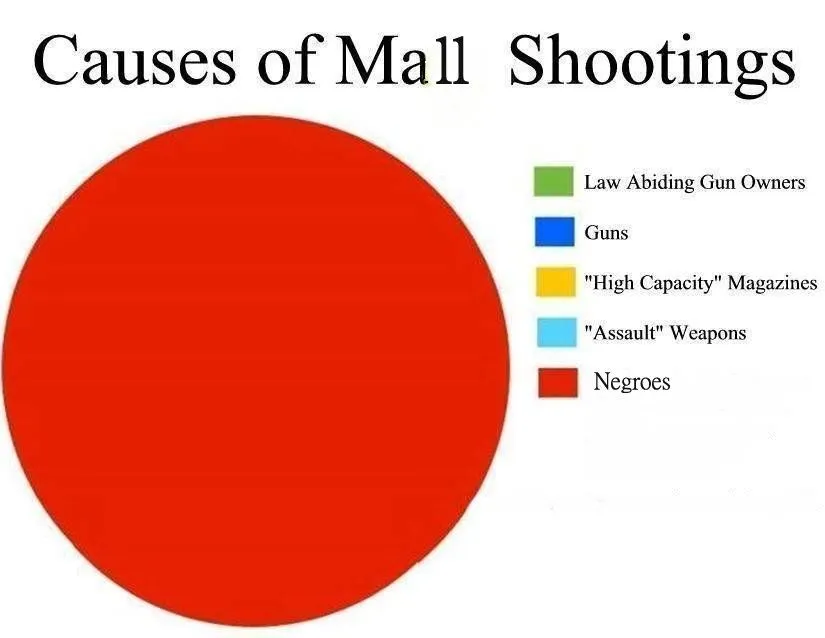 mall shootings.webp