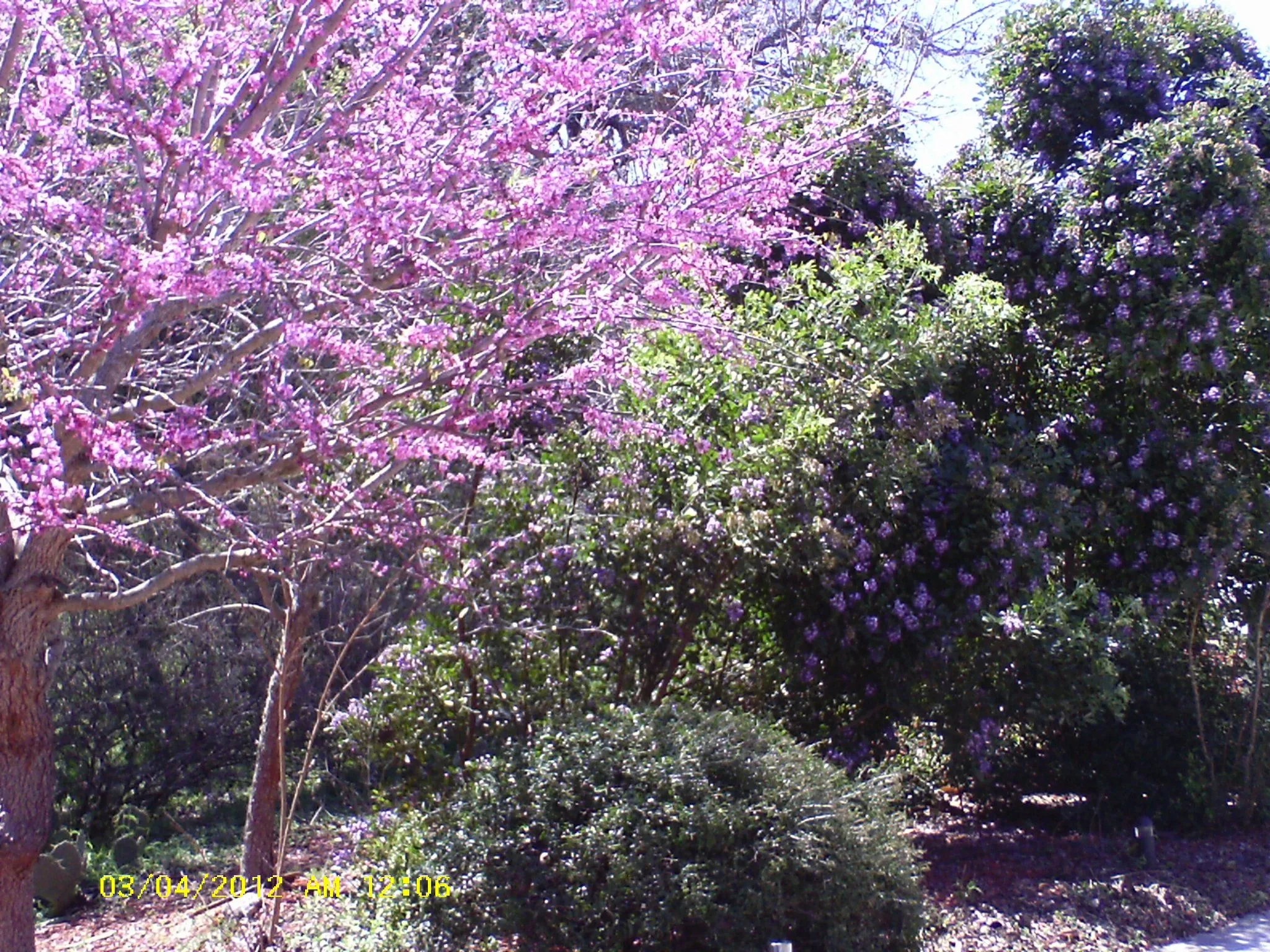 mar14 002.webp
