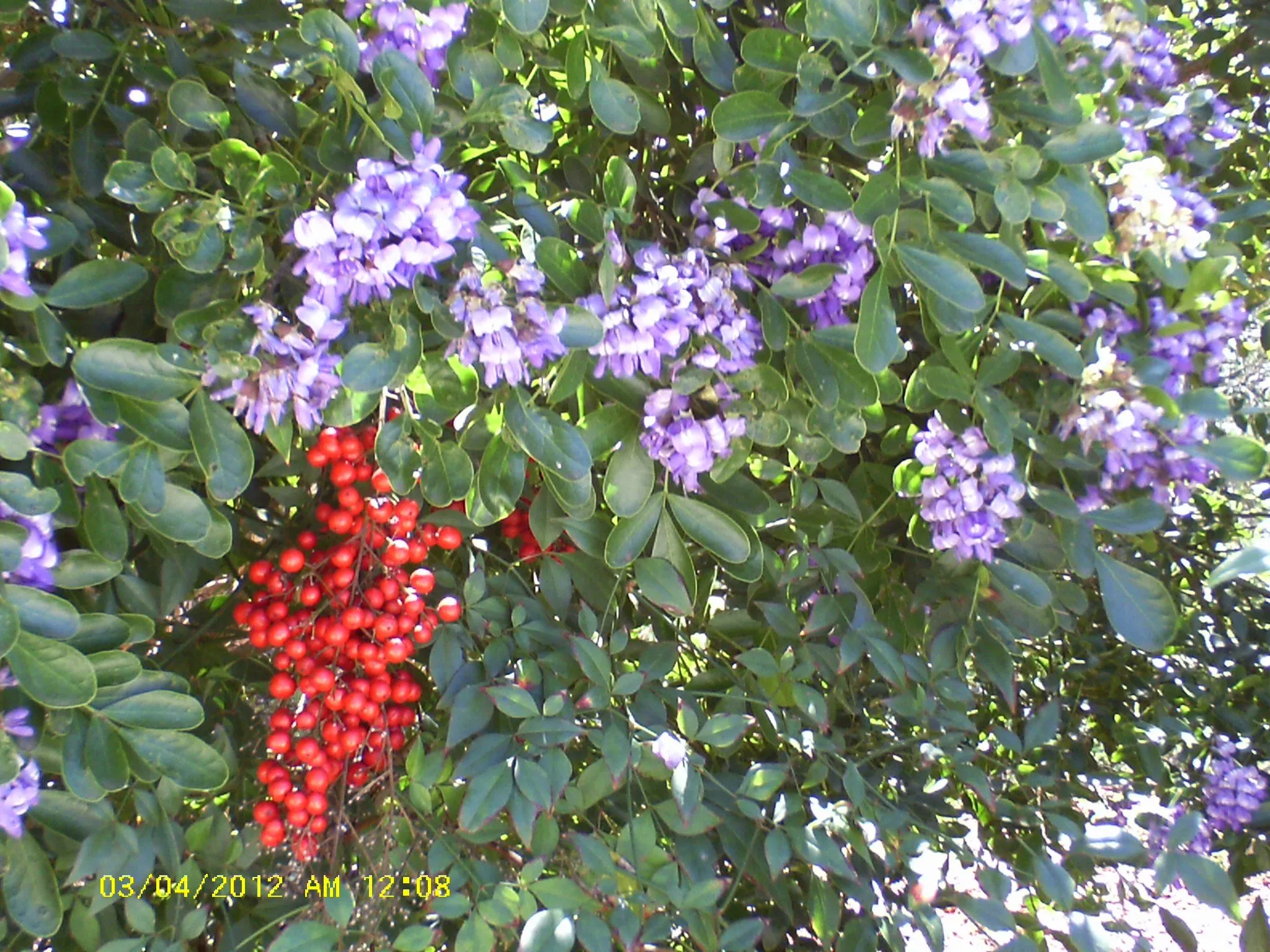 mar14 005.webp