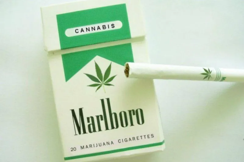 Marlboro.webp