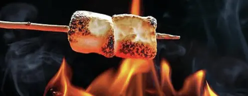 marshmellowroast.webp