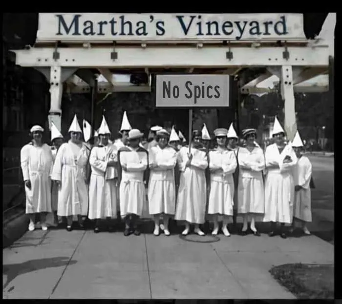marthas vineyard  no spics.webp