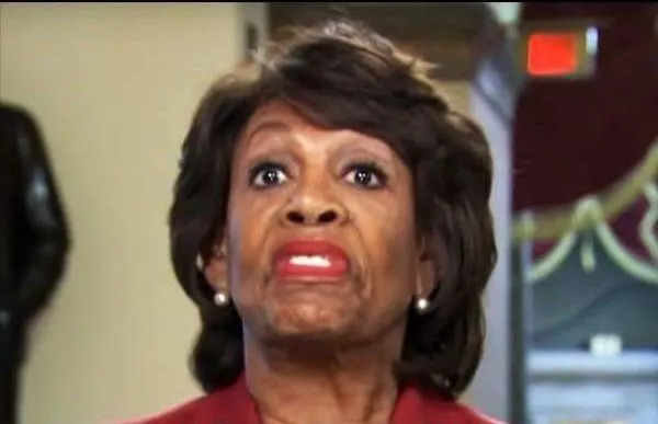 maxine ugly mother fucker.jpg