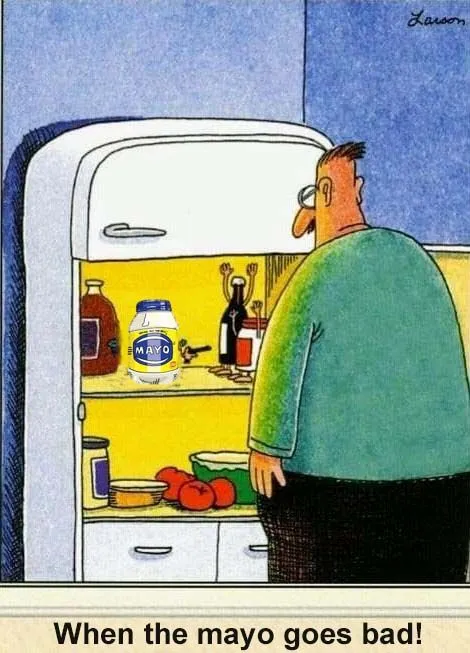 mayo goes bad.webp