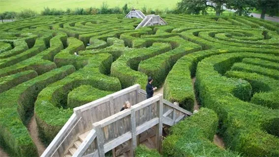 Maze.webp