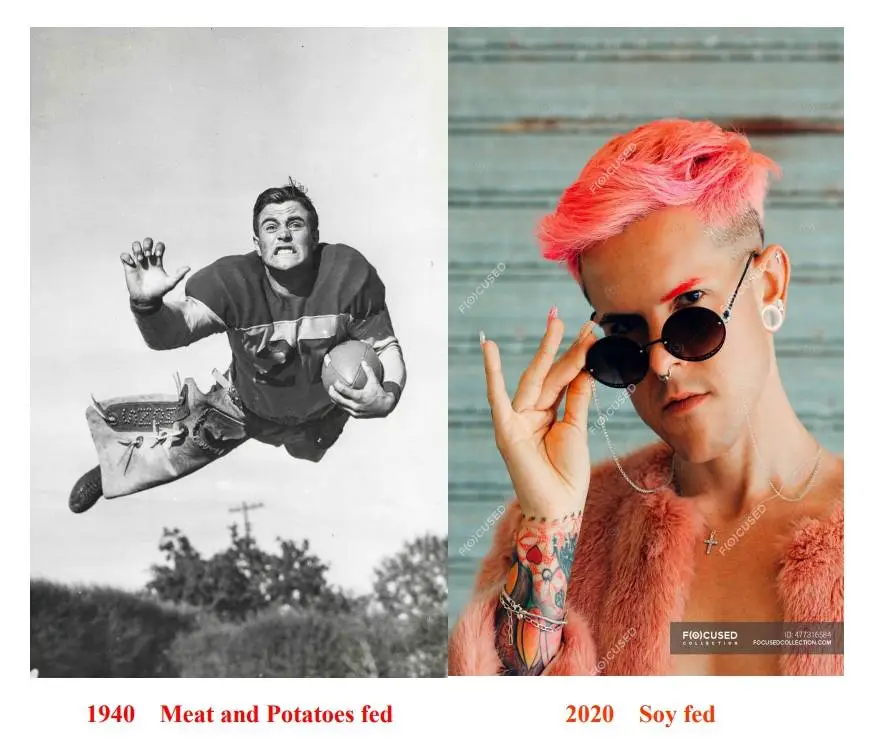 meat fed  soy fed.webp