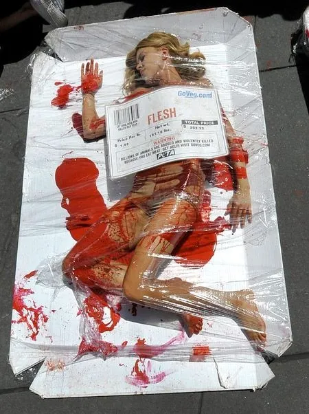 meat05.webp