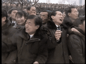 MediumSpiritedEft-max-1mb.gif